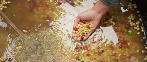 01. CO-FERMENTATION : LE VIN AUTREMENT - 49&euro;